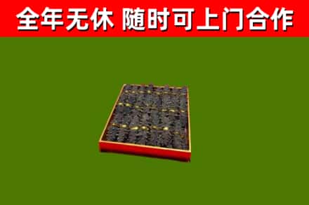 鹿泉回收海参